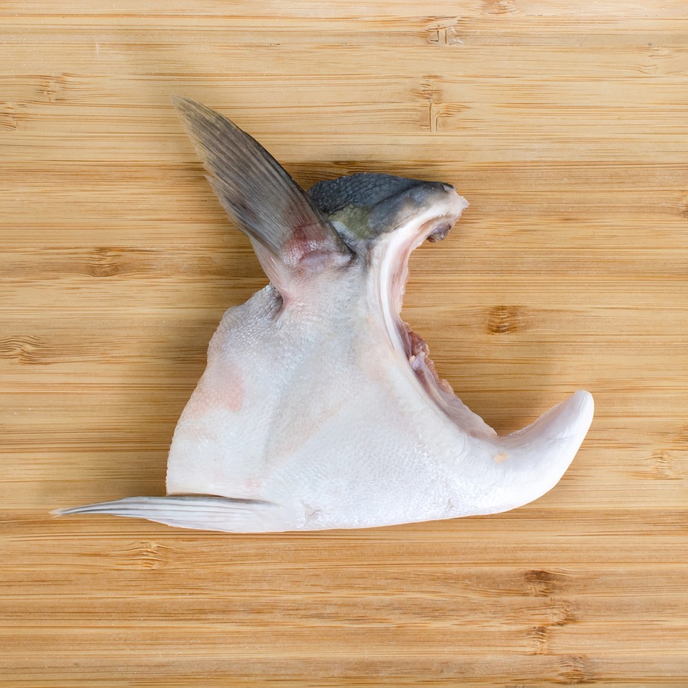 Hamachi Collar